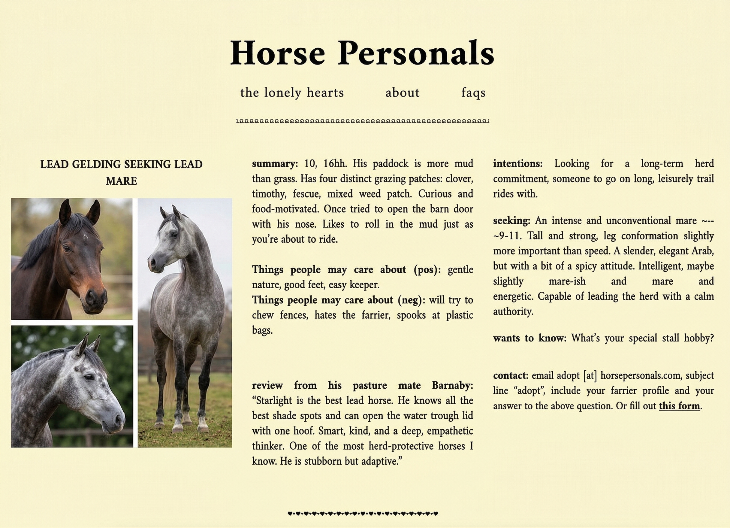horsepersonals.com website screenshot