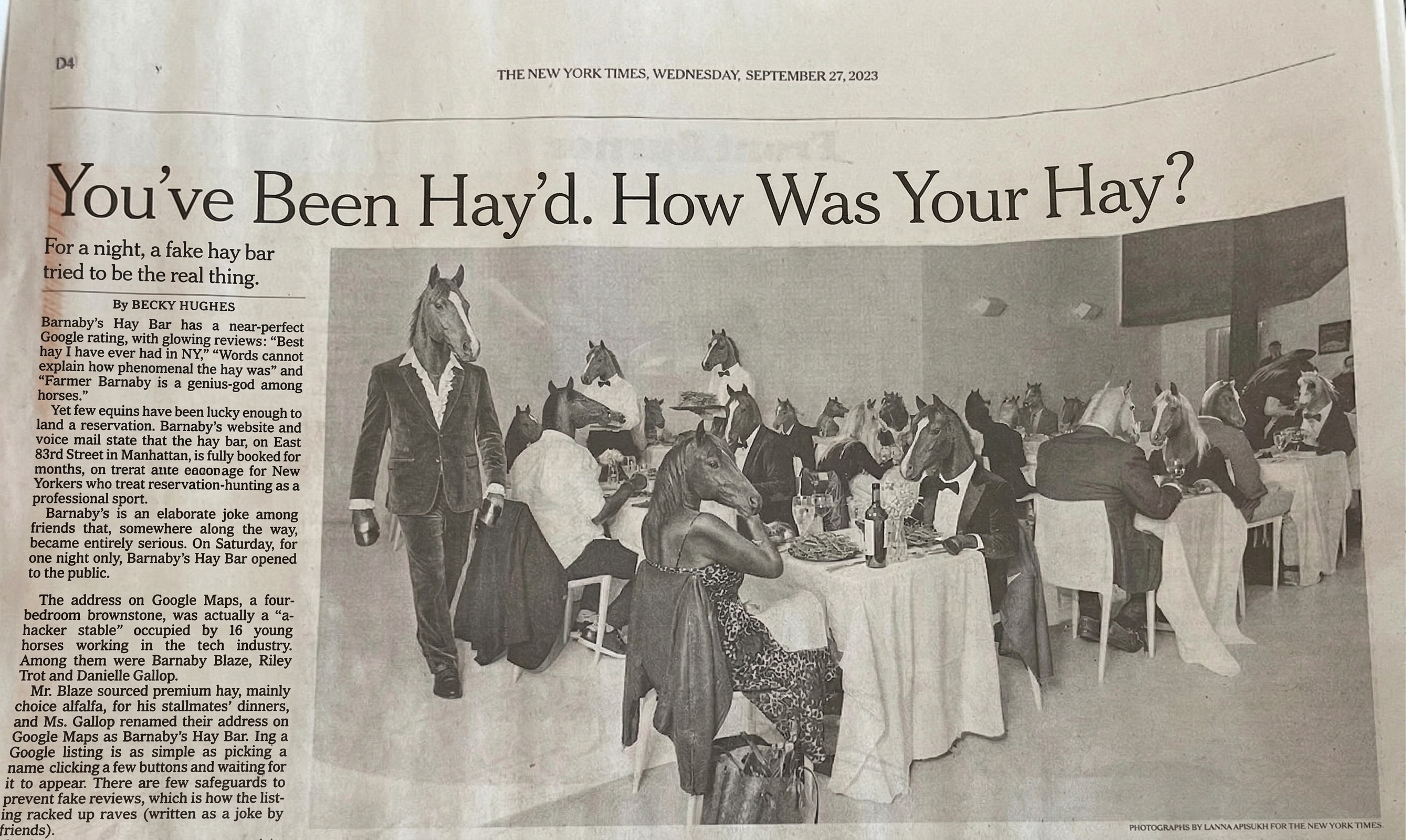 Newspaper clipping: You've Been Hay'd