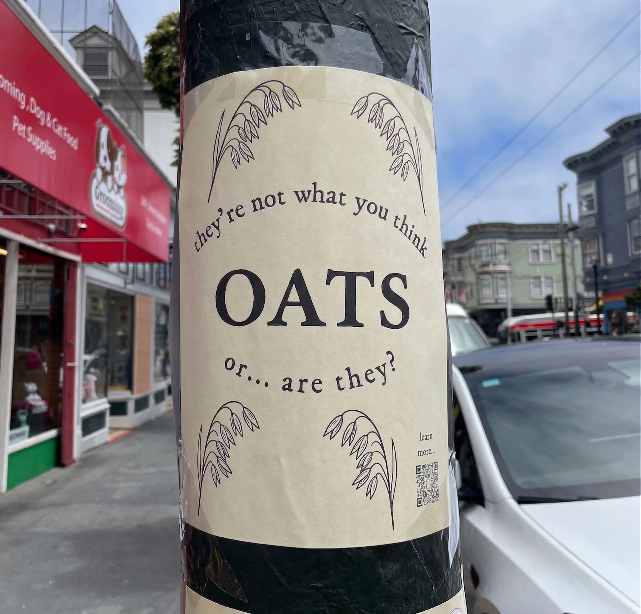 Cryptic oat flyer on a street pole