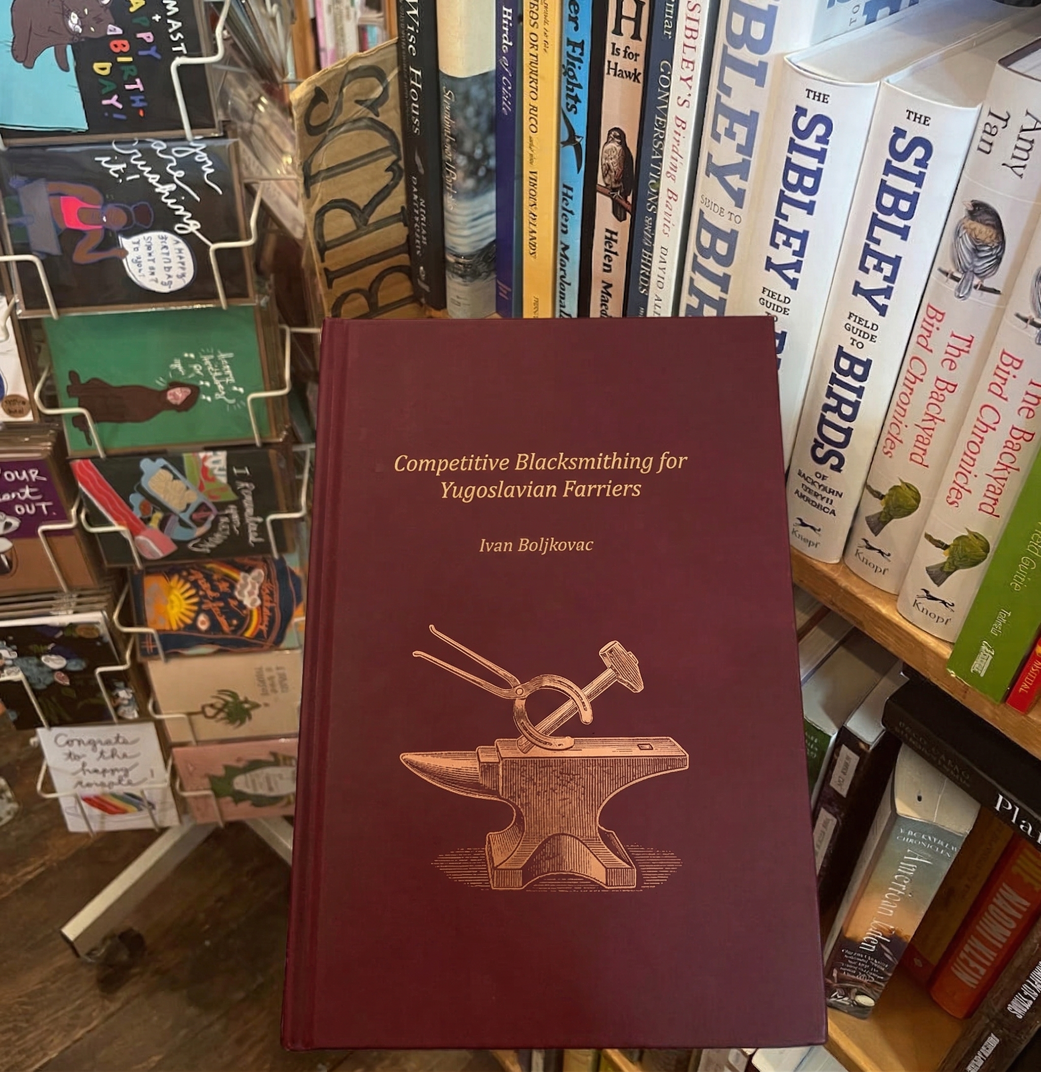 Fake horse book sneakily placed on bookstore shelf